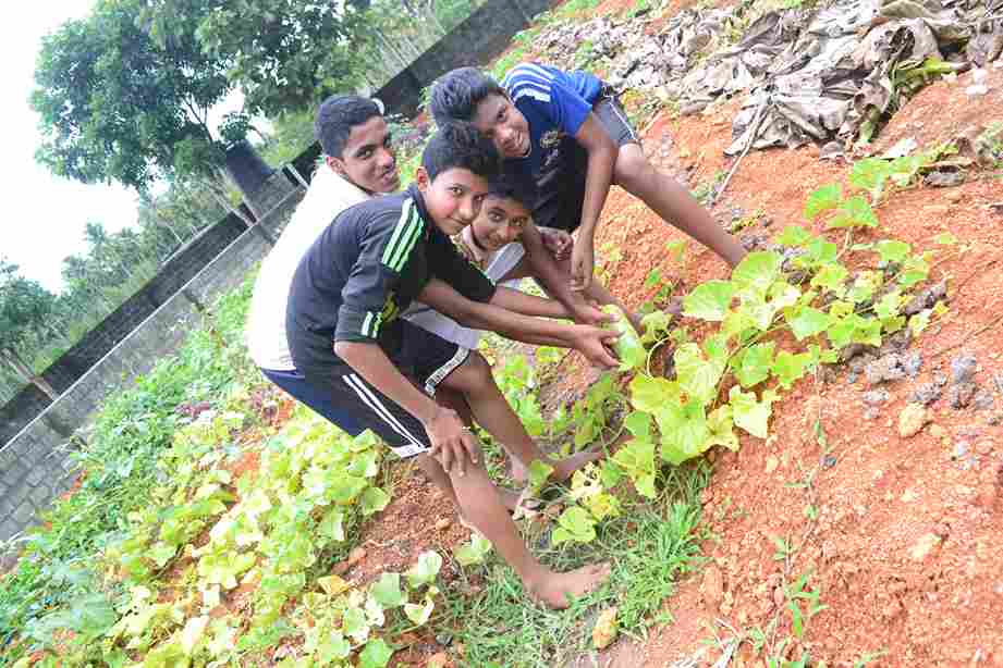 Club activities - Image 2