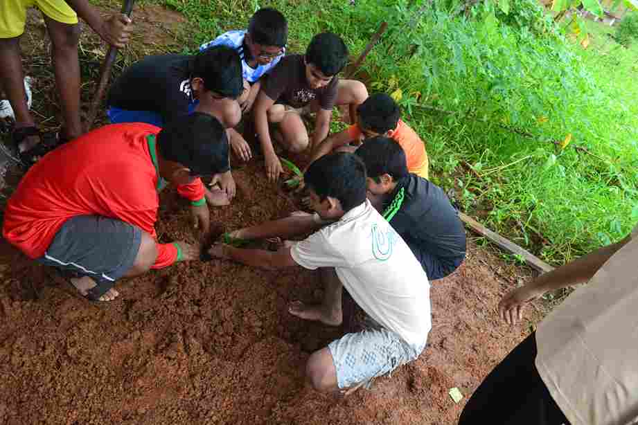 Club activities - Image 1