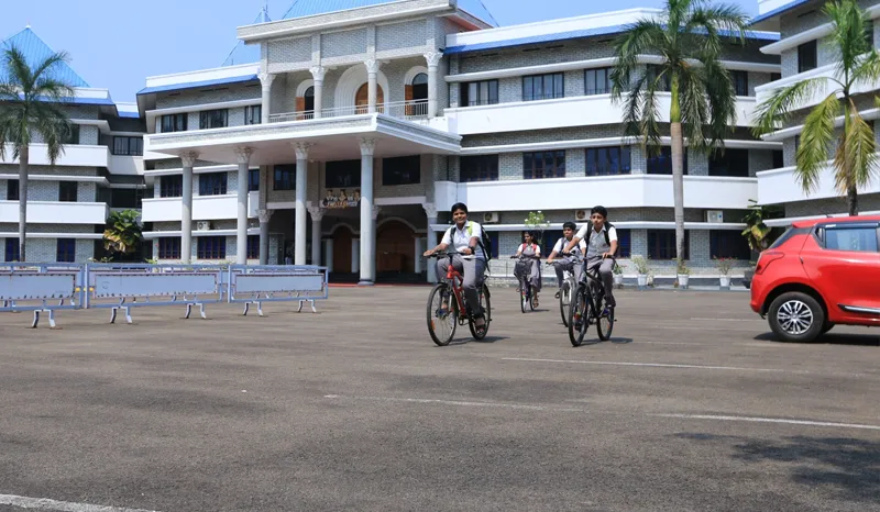 Bicycle License - Image 3