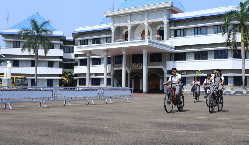 Bicycle License - Image 4