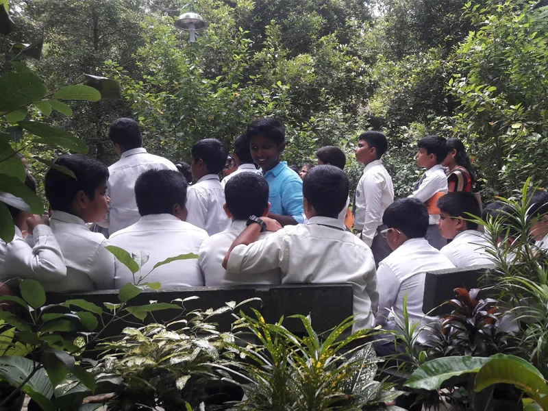 Field Trips - Image 11