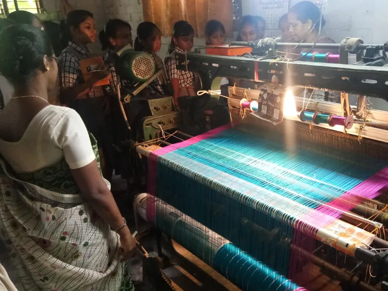 Field Trips - Image 1