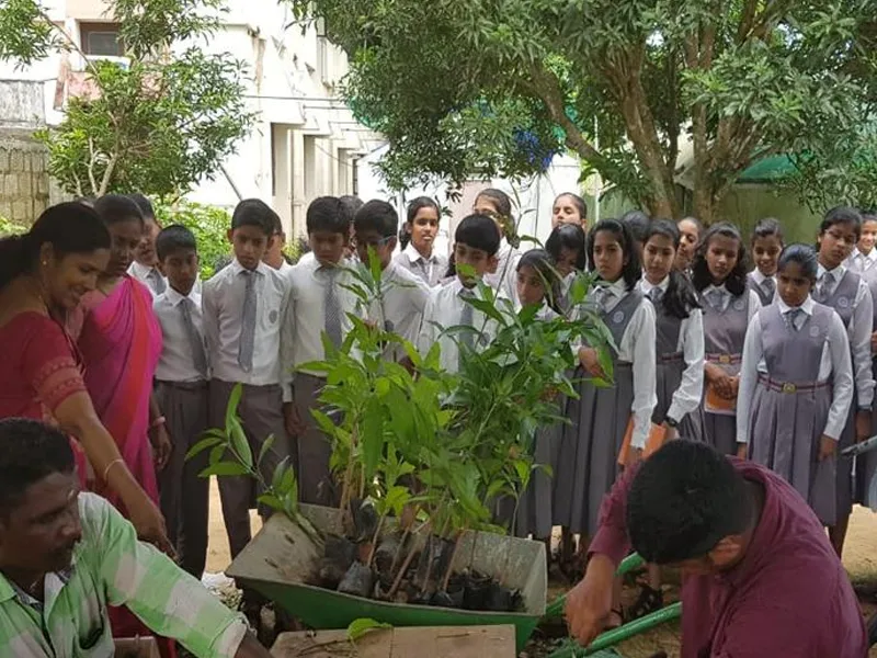 Field Trips - Image 2