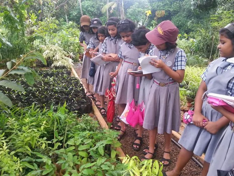 Field Trips - Image 5