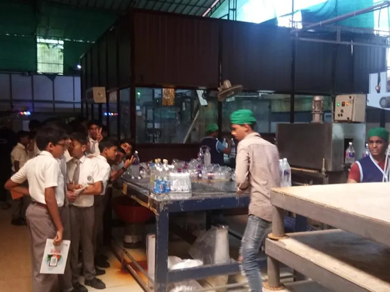 Field Trips - Image 6