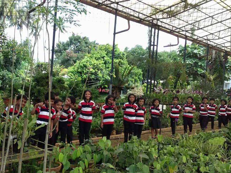 Field Trips - Image 9